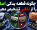 ChatGPT Image Jul 12, 2026, 02_04_47 PM
